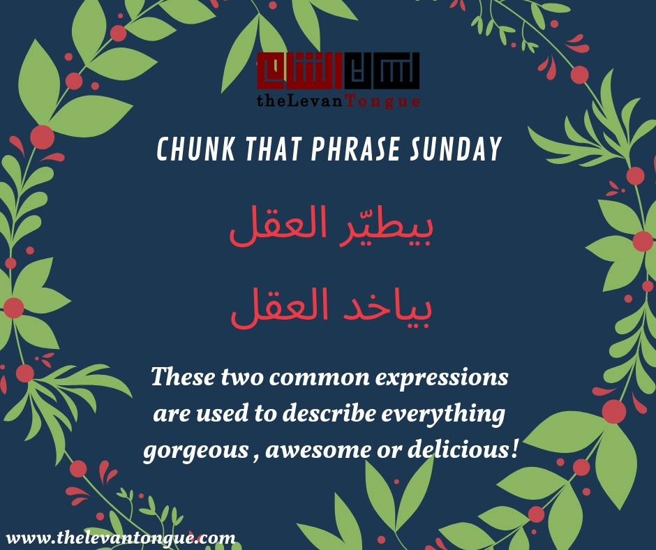 levantine arabic phrases expressions